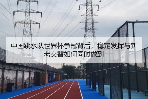 中国跳水队世界杯争冠背后，稳定发挥与新老交替如何同时做到 - leyu