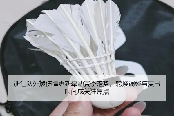 浙江队外援伤情更新牵动赛季走势，轮换调整与复出时间成关注焦点 - leyu